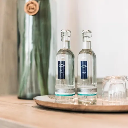 Heberer Hof 슈네베르딘겐